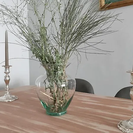 Apartament Magnifico En El Centro De